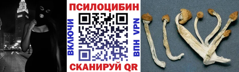 Псилоцибиновые грибы мухоморы  наркота  Кочубеевское 